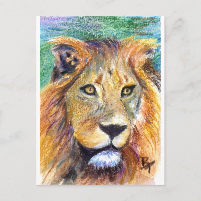 Lion Portrait ACEO Postcard (Front)