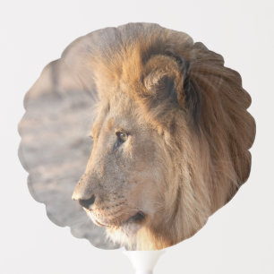 Lion Portrait Balloon