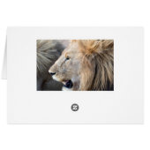 Lion Portrait Cards (Back Horizontal)