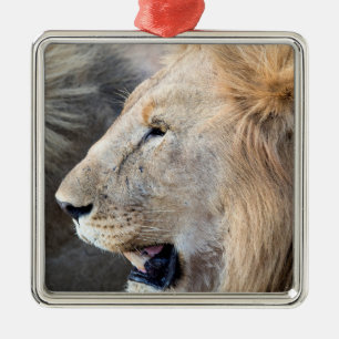 Lion Portrait Metal Ornament