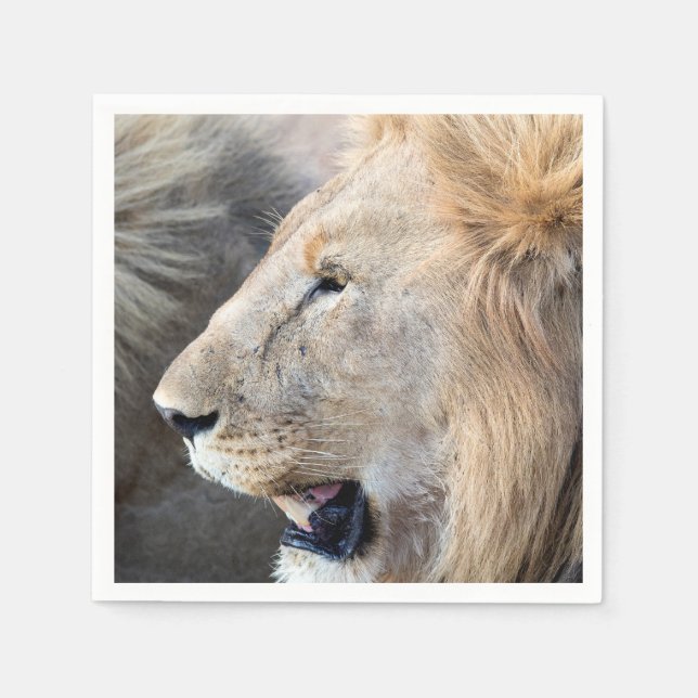 Lion Portrait Napkins (Front)
