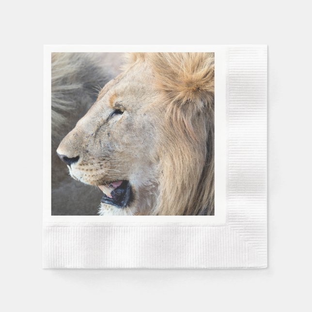 Lion Portrait Napkins (Front)