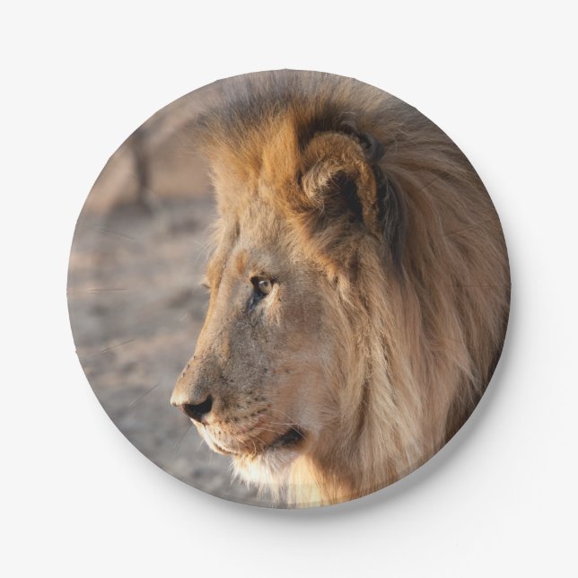 Lion Portrait Paper Plates (Front)