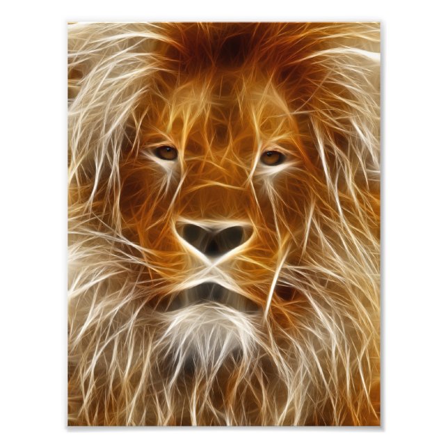 Lion Portrait Photo Print (Front)