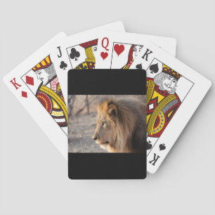 Lion Portrait Poker Cards