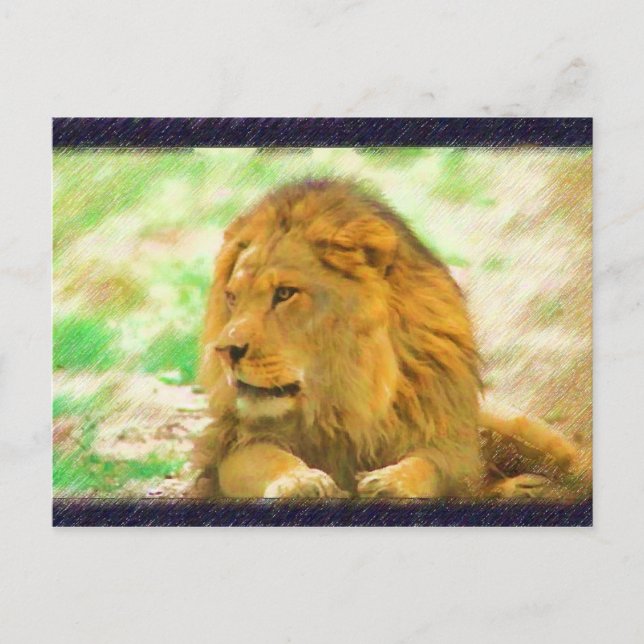Lion postcard (Front)