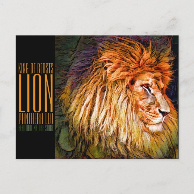 Lion [Postcard] Postcard (Front)