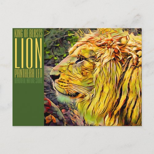 Lion Postcard Postcard