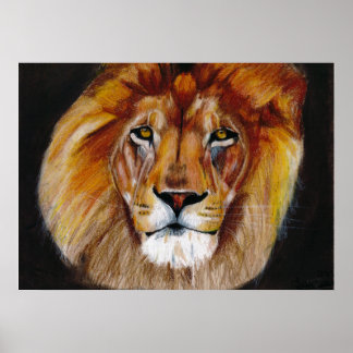 Lion Poster