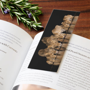 Lion Pride Drinks at the Water Hole at Night Bookmarks