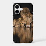 Lion Pride Drinks at the Water Hole at Night iPhone 17 Case<br><div class="desc">Africa,  East Africa,  Kenya,  Great Rift Valley,  Olkirimatian Conservancy,  lion,  Panthera leo.  A lion pride drinks at the water hole at night.</div>