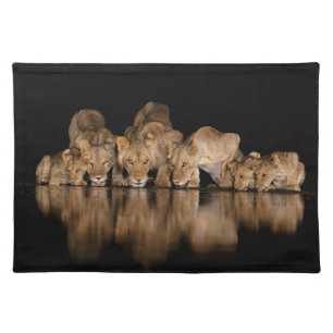 Lion Pride Drinks at the Water Hole at Night Cloth Placemat