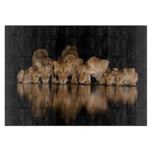 Lion Pride Drinks at the Water Hole at Night Cutting Board