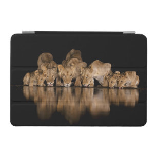 Lion Pride Drinks at the Water Hole at Night iPad Mini Cover