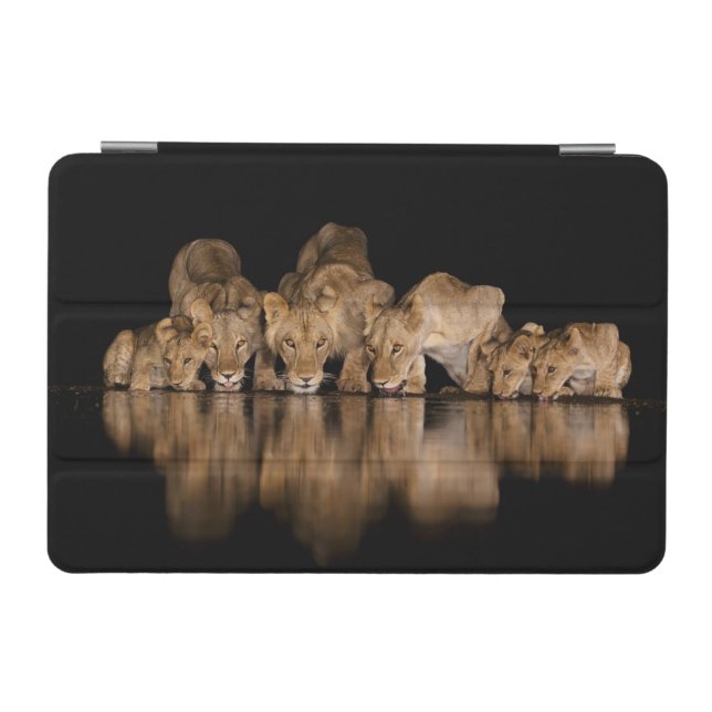 Lion Pride Drinks at the Water Hole at Night iPad Mini Cover (Horizontal)