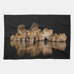 Lion Pride Drinks at the Water Hole at Night Kitchen Towel