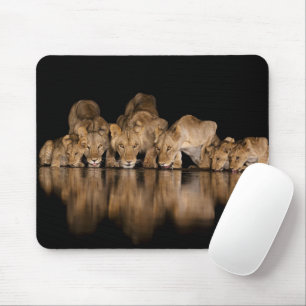 Lion Pride Drinks at the Water Hole at Night Mouse Pad