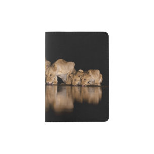 Lion Pride Drinks at the Water Hole at Night Passport Holder