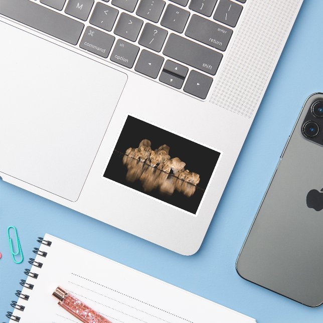 Lion Pride Drinks at the Water Hole at Night Sticker (Laptop w/ iPhone)