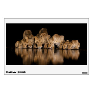 Lion Pride Drinks at the Water Hole at Night Wall Decal