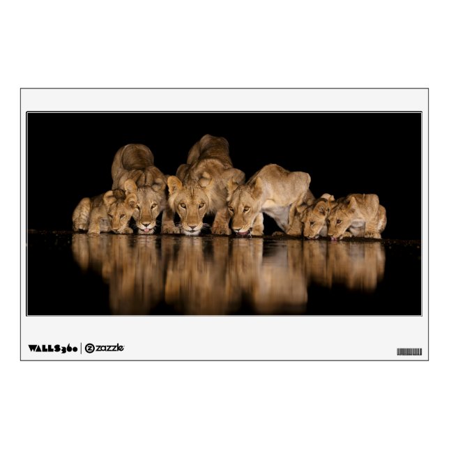Lion Pride Drinks at the Water Hole at Night Wall Decal (Front)