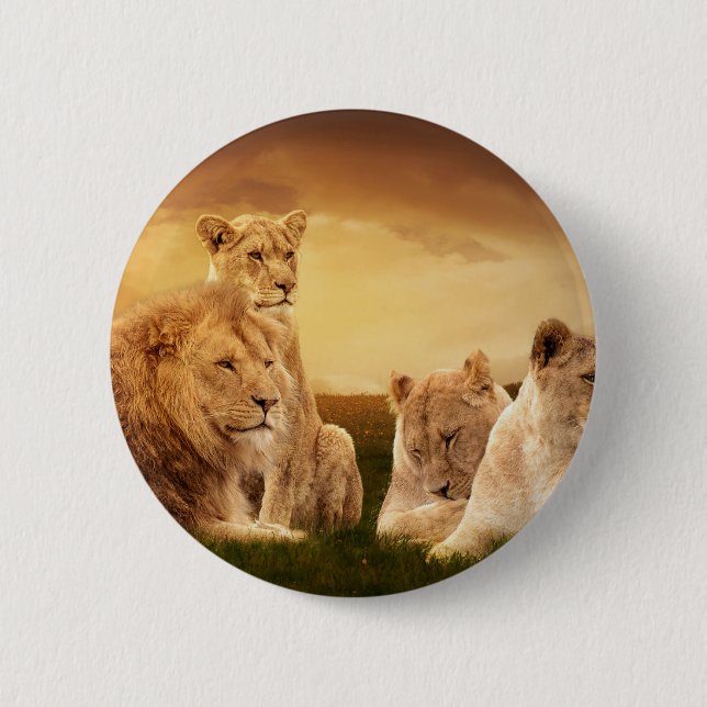 Lion pride pinback button (Front)