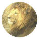 Lion Pride Sticker