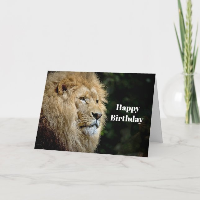 Lion Profile Wildlife Photo Birthday Card (Front)