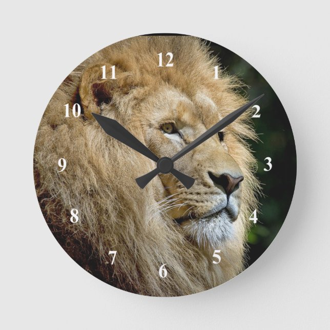 Lion Profile Wildlife Photo Round Clock (Front)