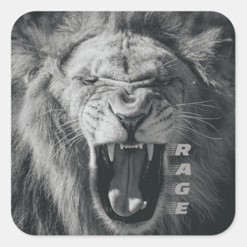 Lion Rage Black and White Roar Square Sticker