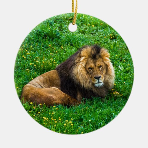 Lion Relaxing in Green Grass Photo Ceramic Ornament