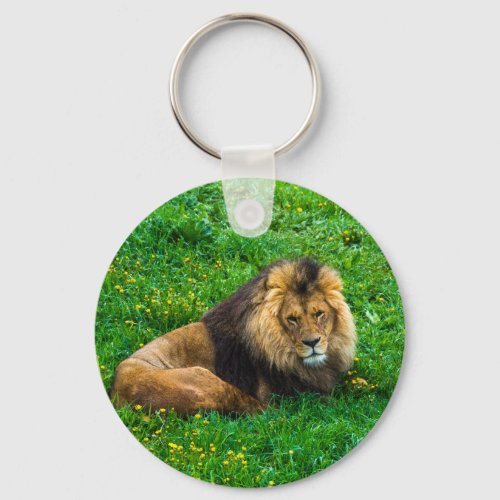 Lion Relaxing in Green Grass Photo Keychain