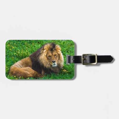 Lion Relaxing in Green Grass Photo Luggage Tag