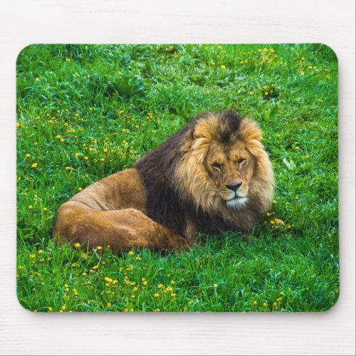 Lion Relaxing in Green Grass Photo Mouse Pad