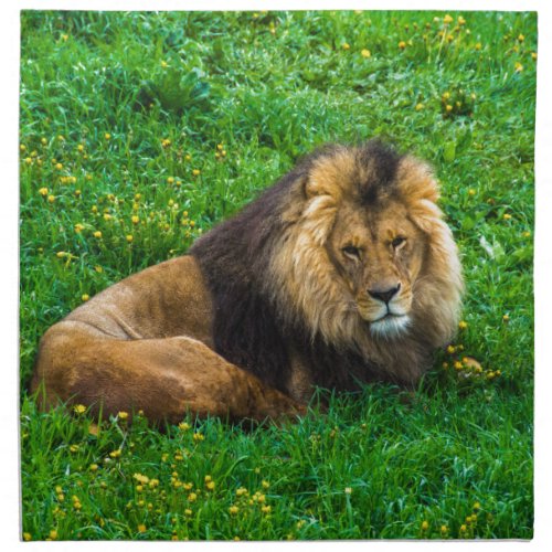 Lion Relaxing in Green Grass Photo Napkin