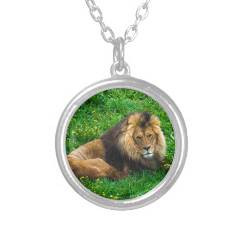 Lion Relaxing in Green Grass Photo Silver Plated Necklace