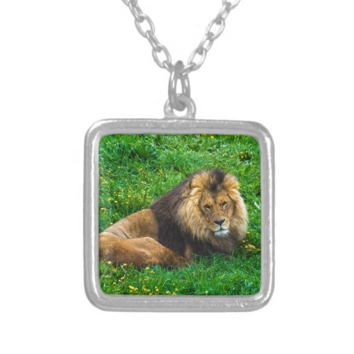 Lion Relaxing in Green Grass Photo Silver Plated Necklace