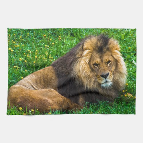 Lion Relaxing in Green Grass Photo Towel