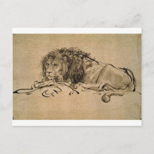 Lion Resting by Rembrandt Postcard