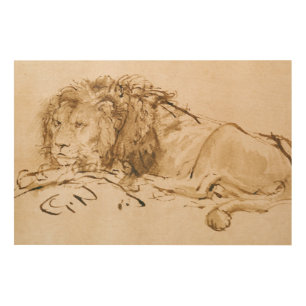 Lion Resting (pen and ink on paper) Wood Wall Art