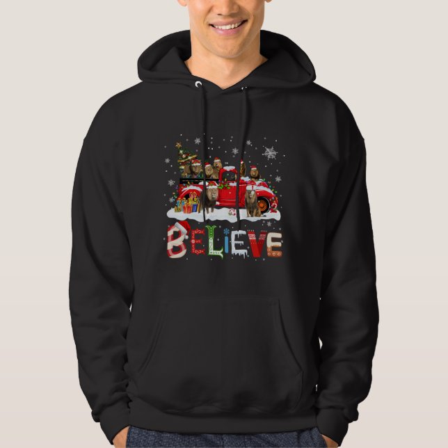 Lion Riding Red Truck Christmas Tree Believe Santa Hoodie (Front)