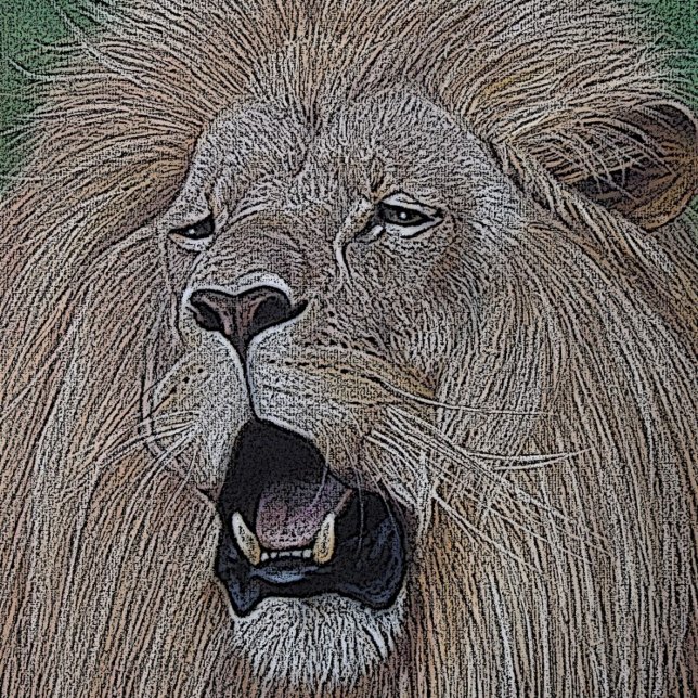 lion roaring big cat wildlife realist art flask (Creator Uploaded)