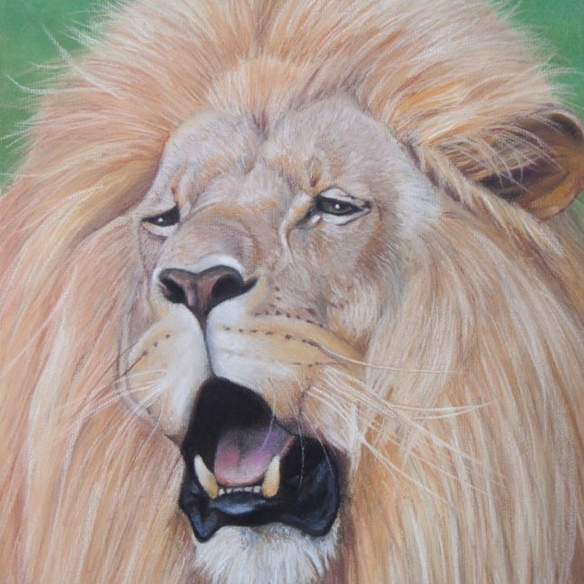 lion roaring big cat wildlife realist art hip flask (Creator Uploaded)