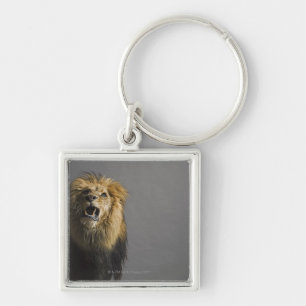 Lion roaring keychain