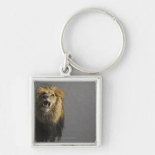Lion roaring keychain