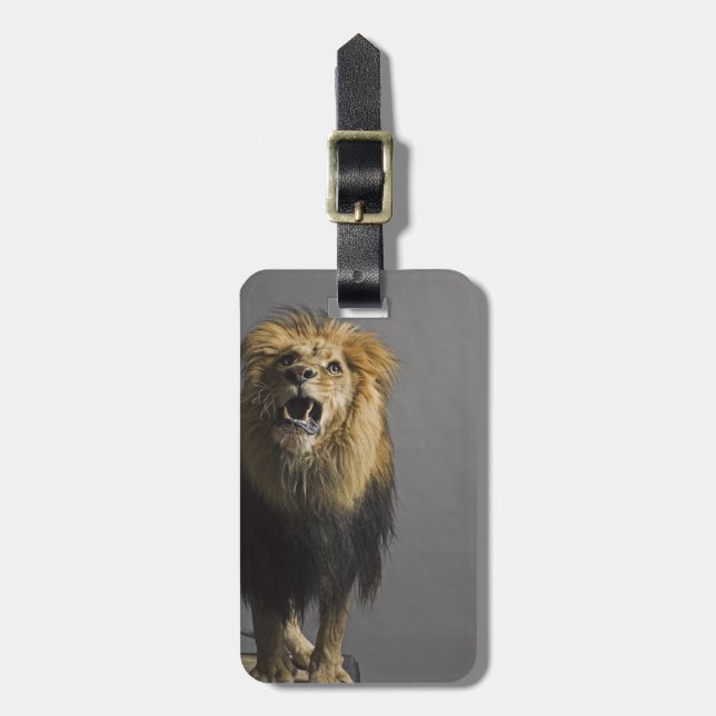 Lion roaring luggage tag (Front Vertical)