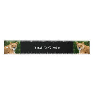 Lion Ruler