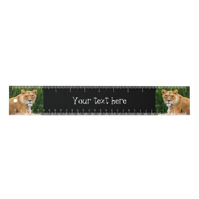 Lion Ruler (Front)