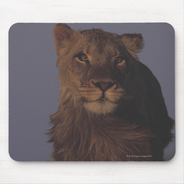 Lion Running Mouse Pad (Front)