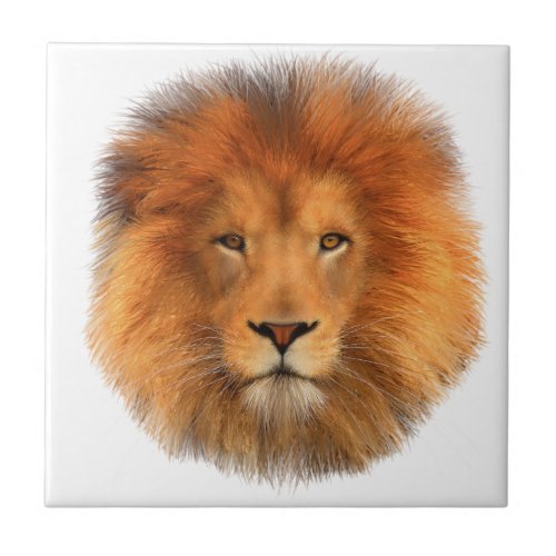 Lions Mane Ceramic Tile